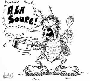 toujours-une-mouche-dans-la-soupe-01[1]